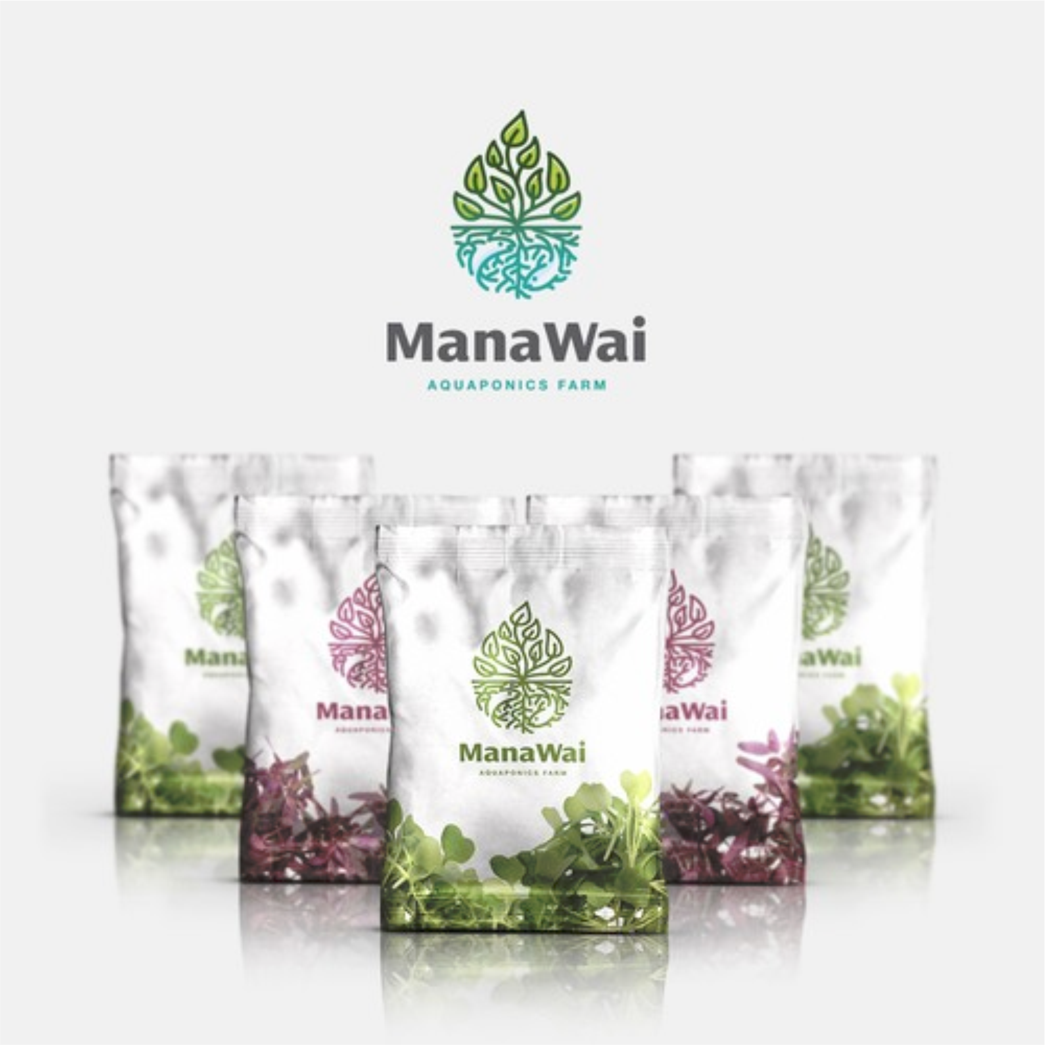 Hawaiian aquaponics company - design a modern logo in Label Design Inspiration by Dnle14