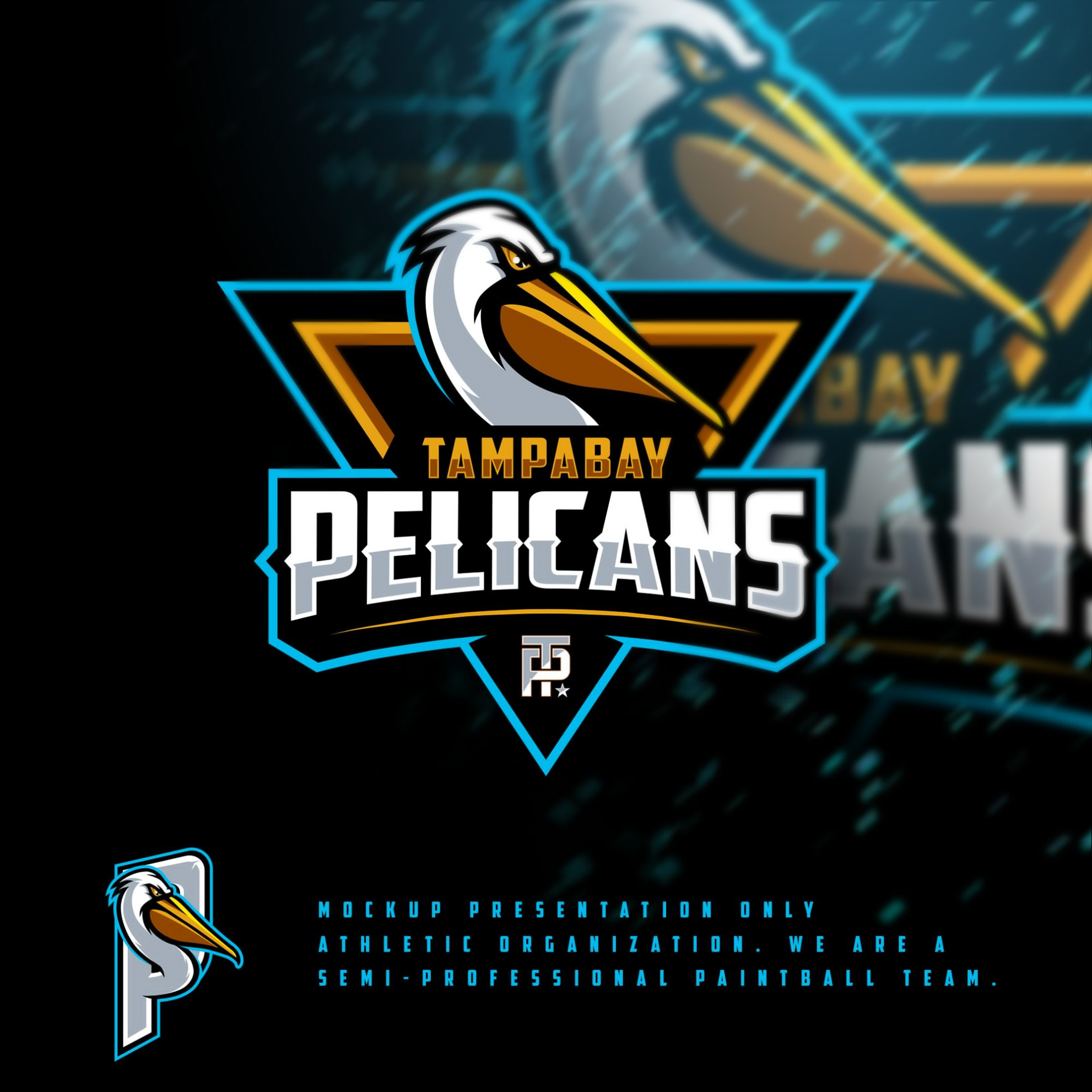 Tampa Bay Pelicans by Dnle14 Tampa Bay Pelicans in Brochure Design Inspiration by Dnle14