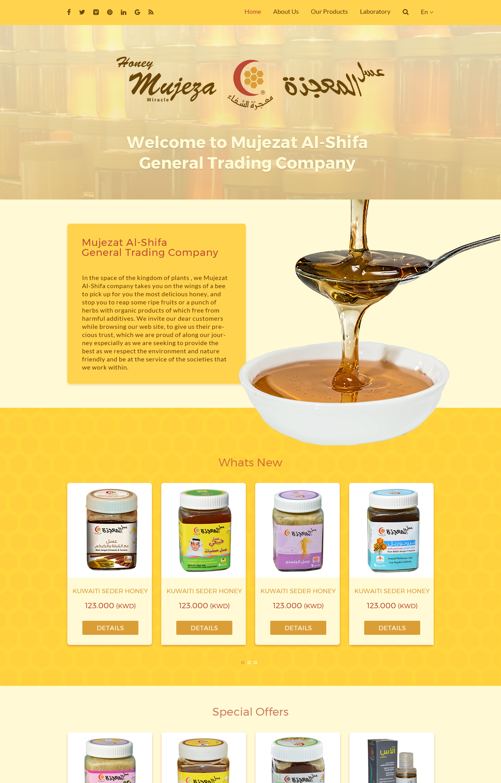 Website Design for Honey Supplier in Website Design Inspiration by Konstantin Manaenkov
