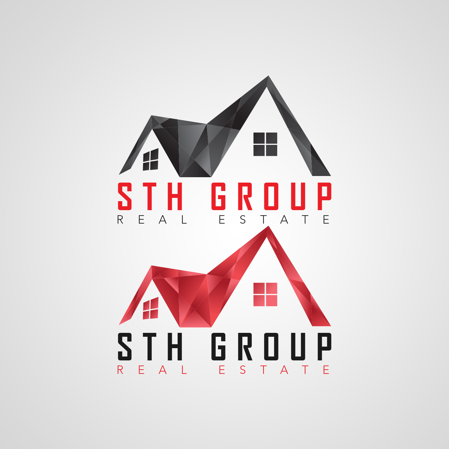STH REAL STATE by Doom STH REAL STATE in Logo Design Inspiration by Doom