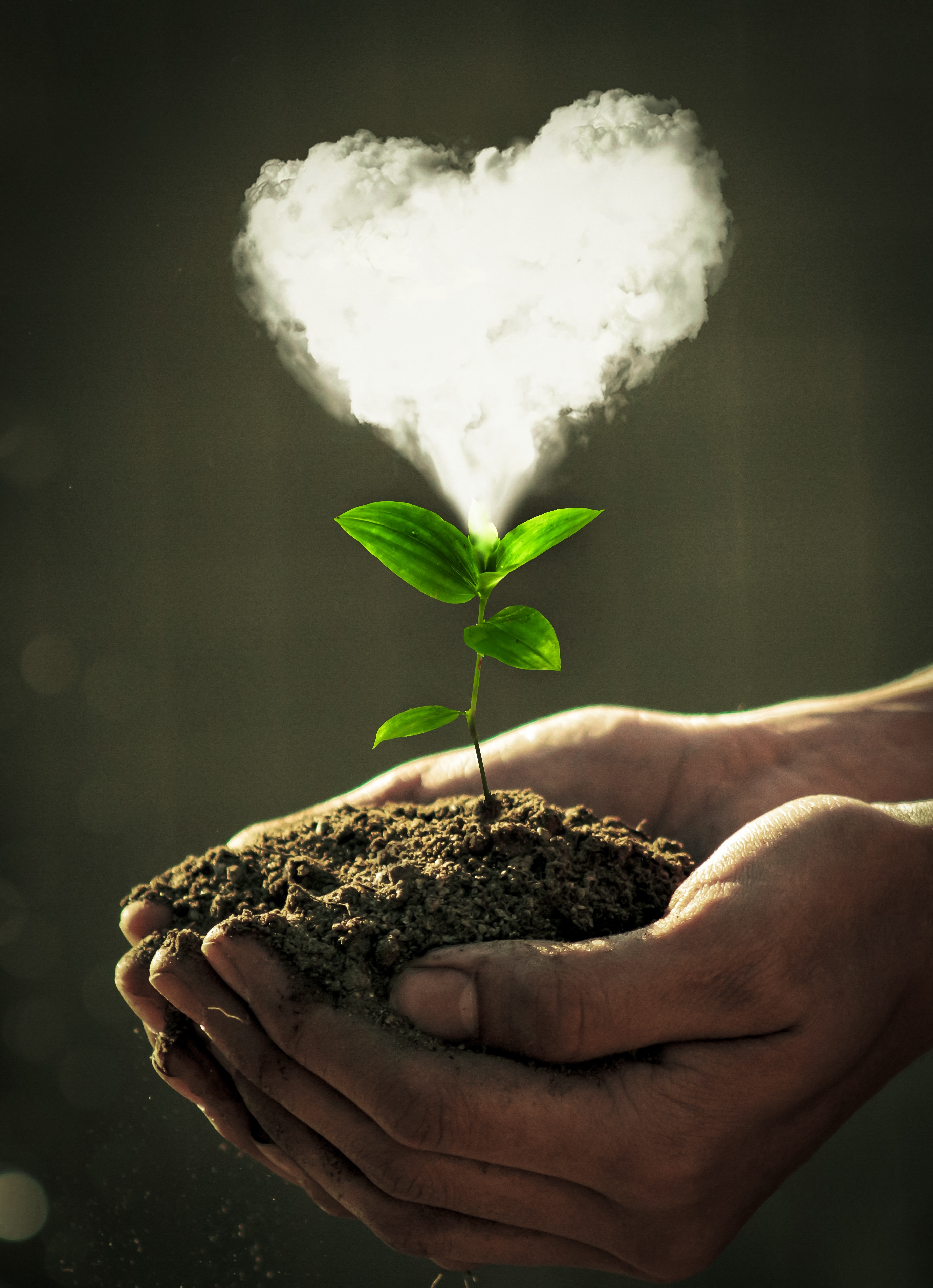 Be kind to everything that lives by Boby Atmajaya Be kind to everything that lives in Photoshop Design Inspiration by Boby Atmajaya