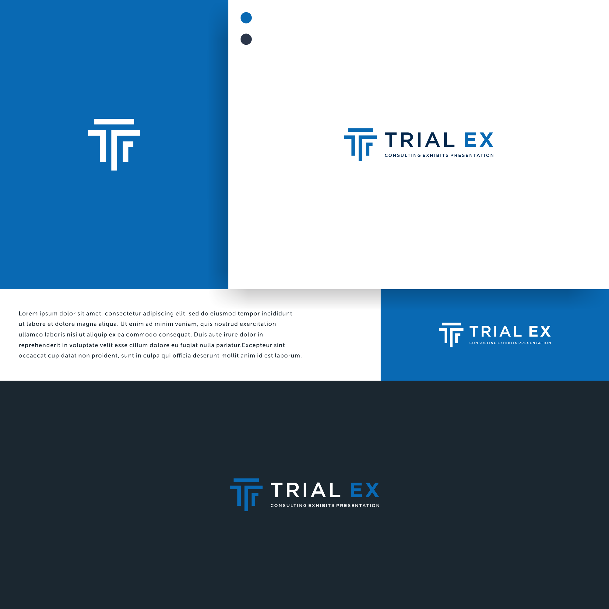 Trial Ex by C H A N D R A Trial Ex in Logo Design Inspiration by C H A N D R A