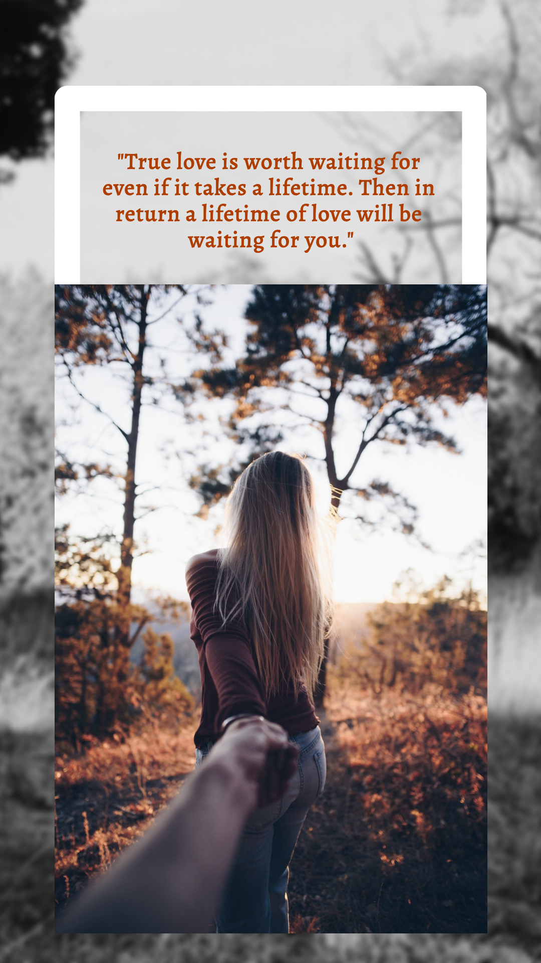 true love quote by Marisol Coterillo true love quote in Instagram Story Inspiration by Marisol Coterillo