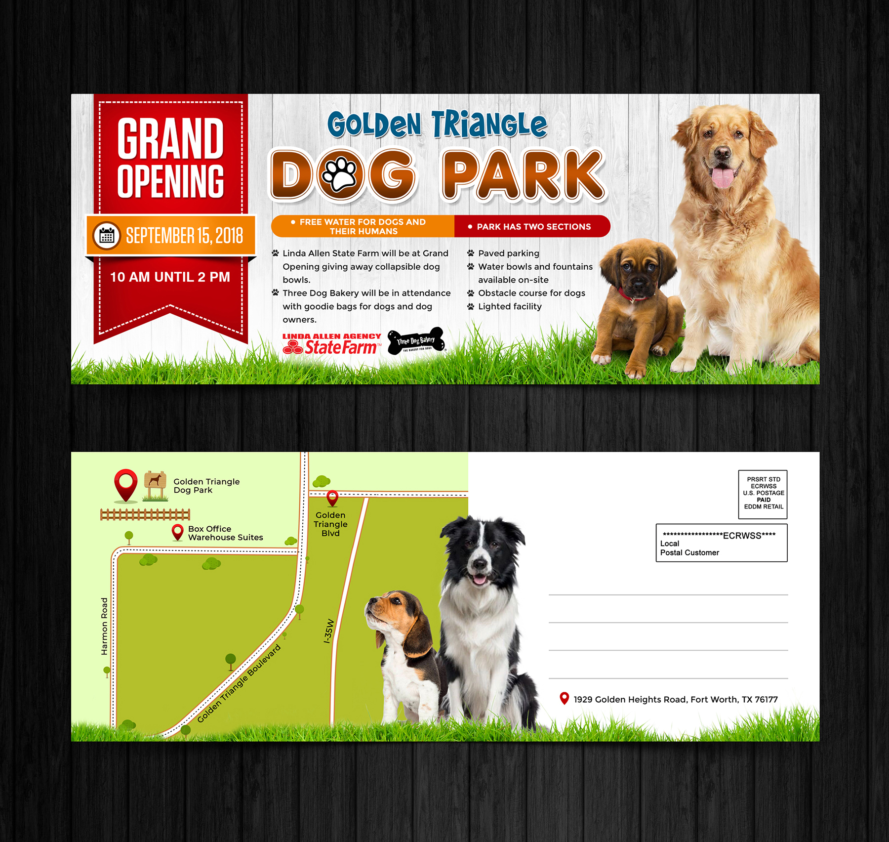 Dog Park by Joy Dog Park in Postcard design Inspiration by Joy