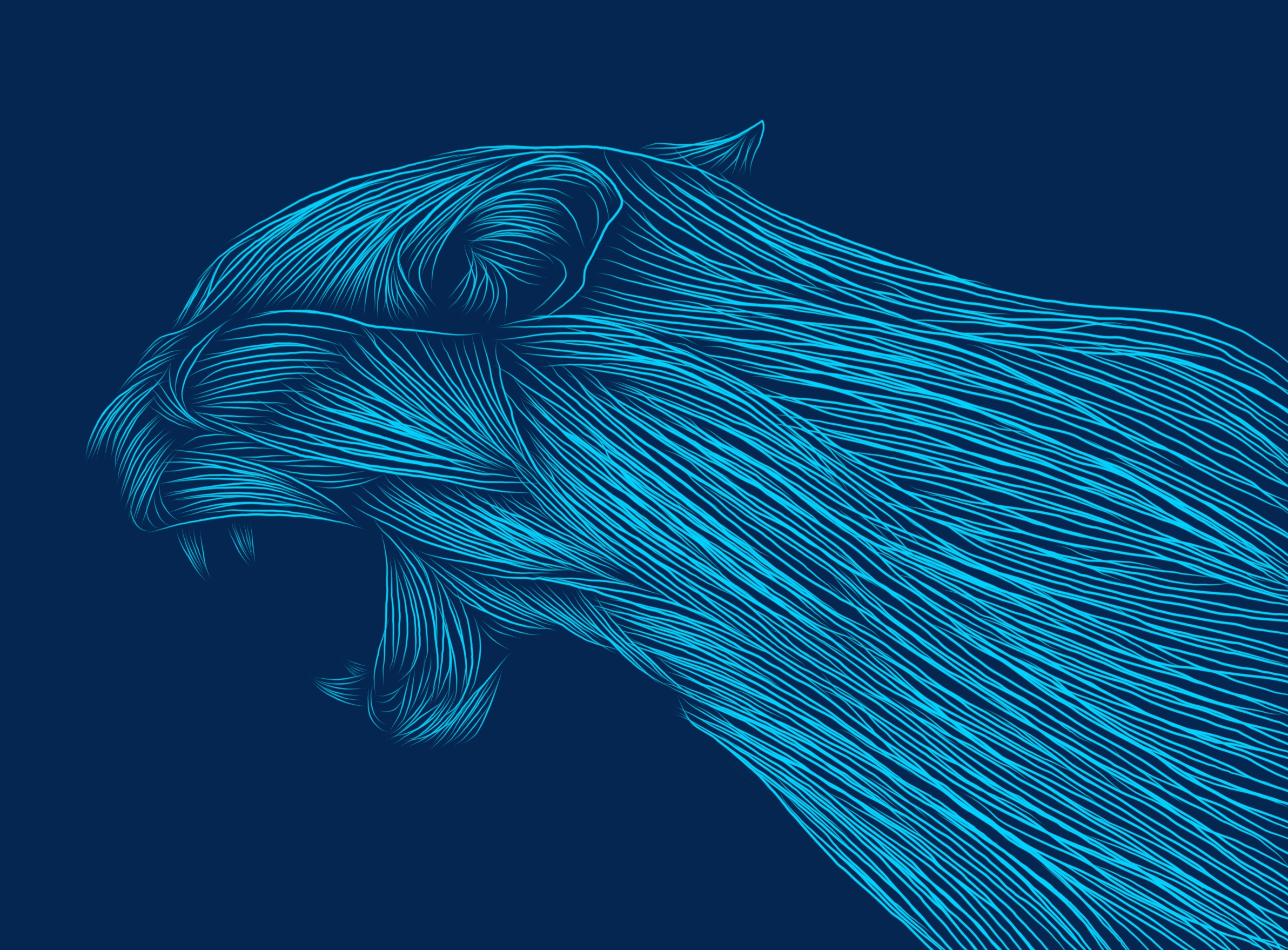 tiger by Crypto Artdesign tiger in Illustration and Graphics Inspiration by Crypto Artdesign