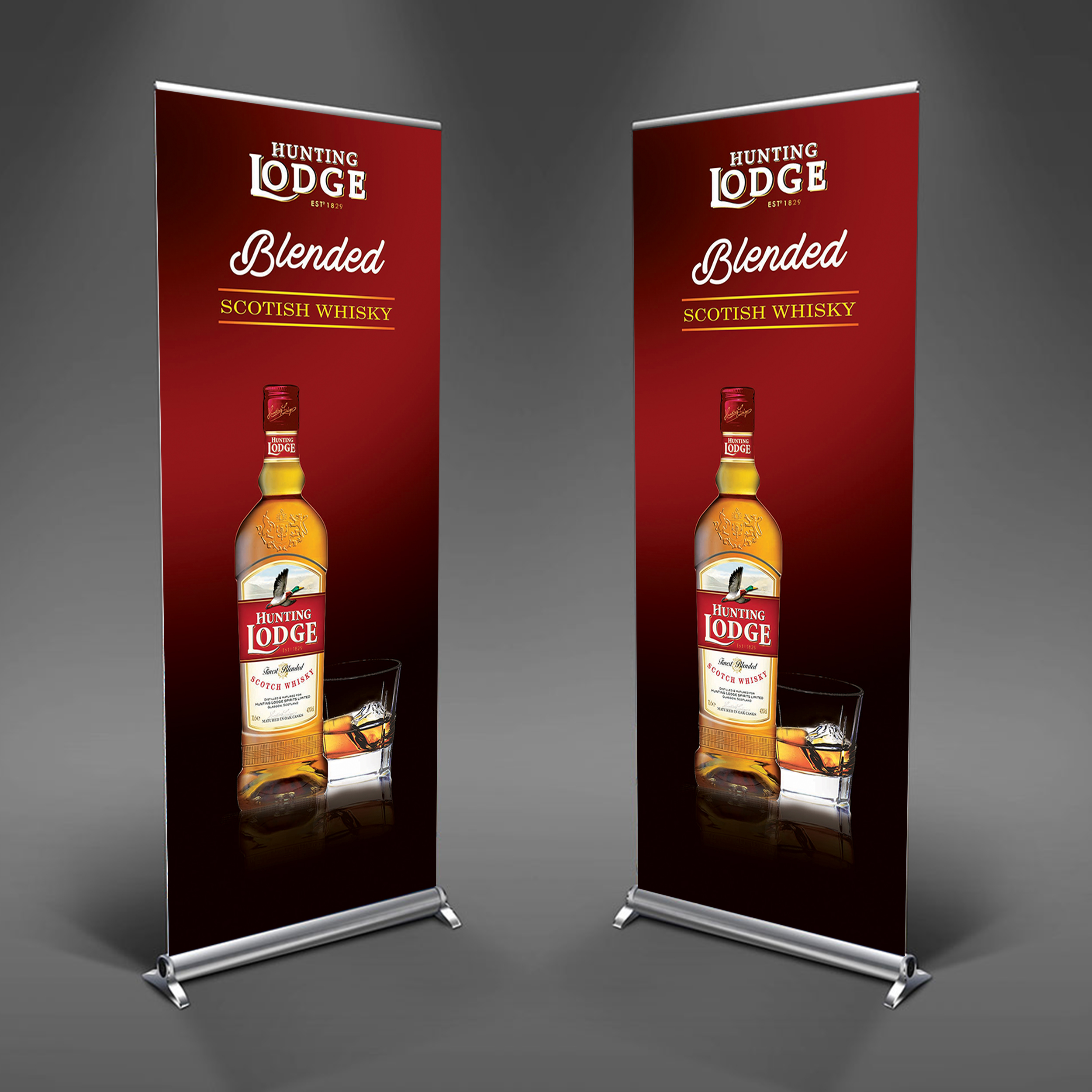 pull up banner in Banner ad Design Inspiration by Ferdie