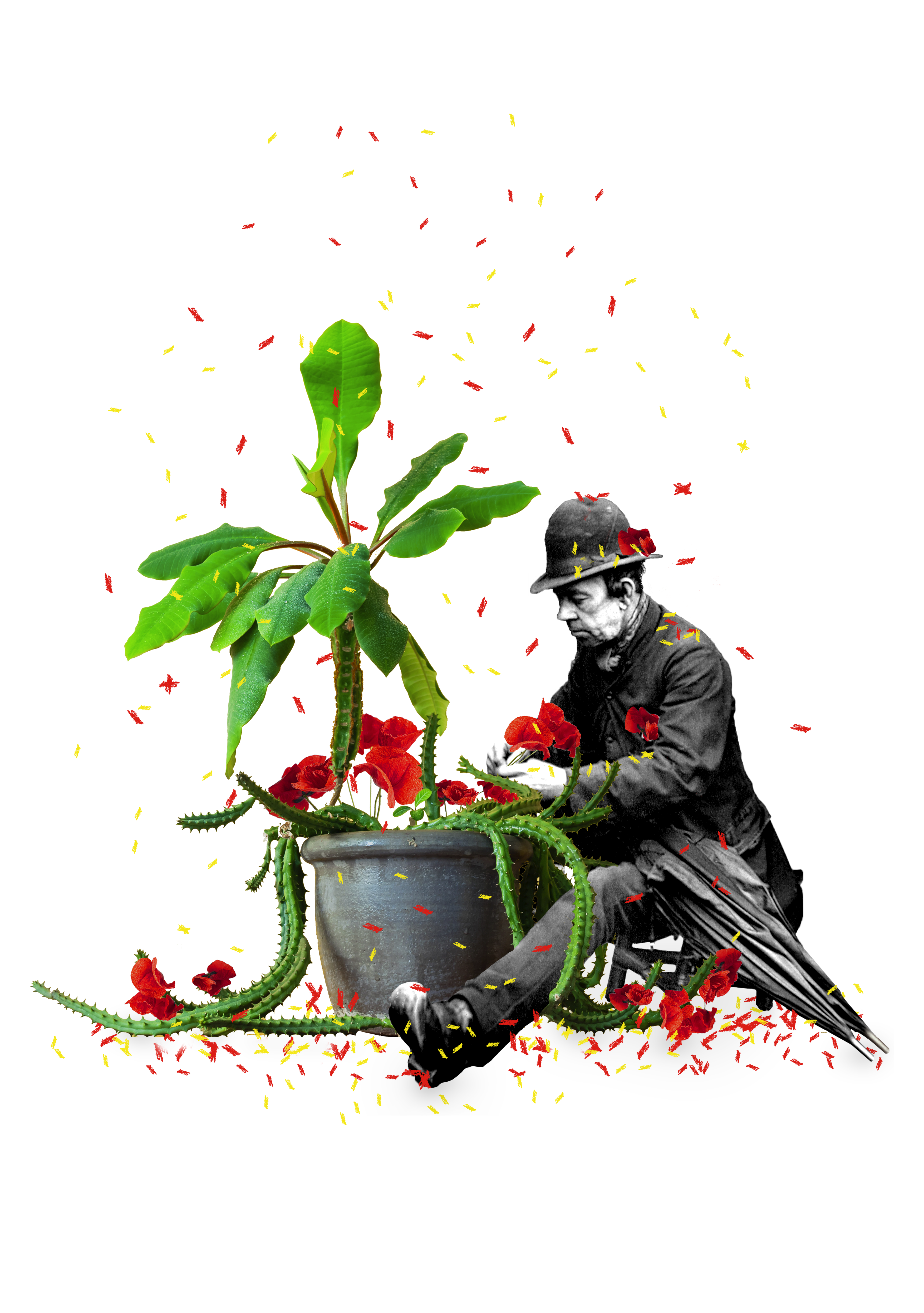 During quarantine I enjoy my house and I love my plants by Laura González Flesher During quarantine I enjoy my house and I love my plants in Photoshop Design Inspiration by Laura González Flesher
