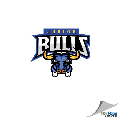 Jr Bulls in Logo Design Inspiration by Ed Stokes