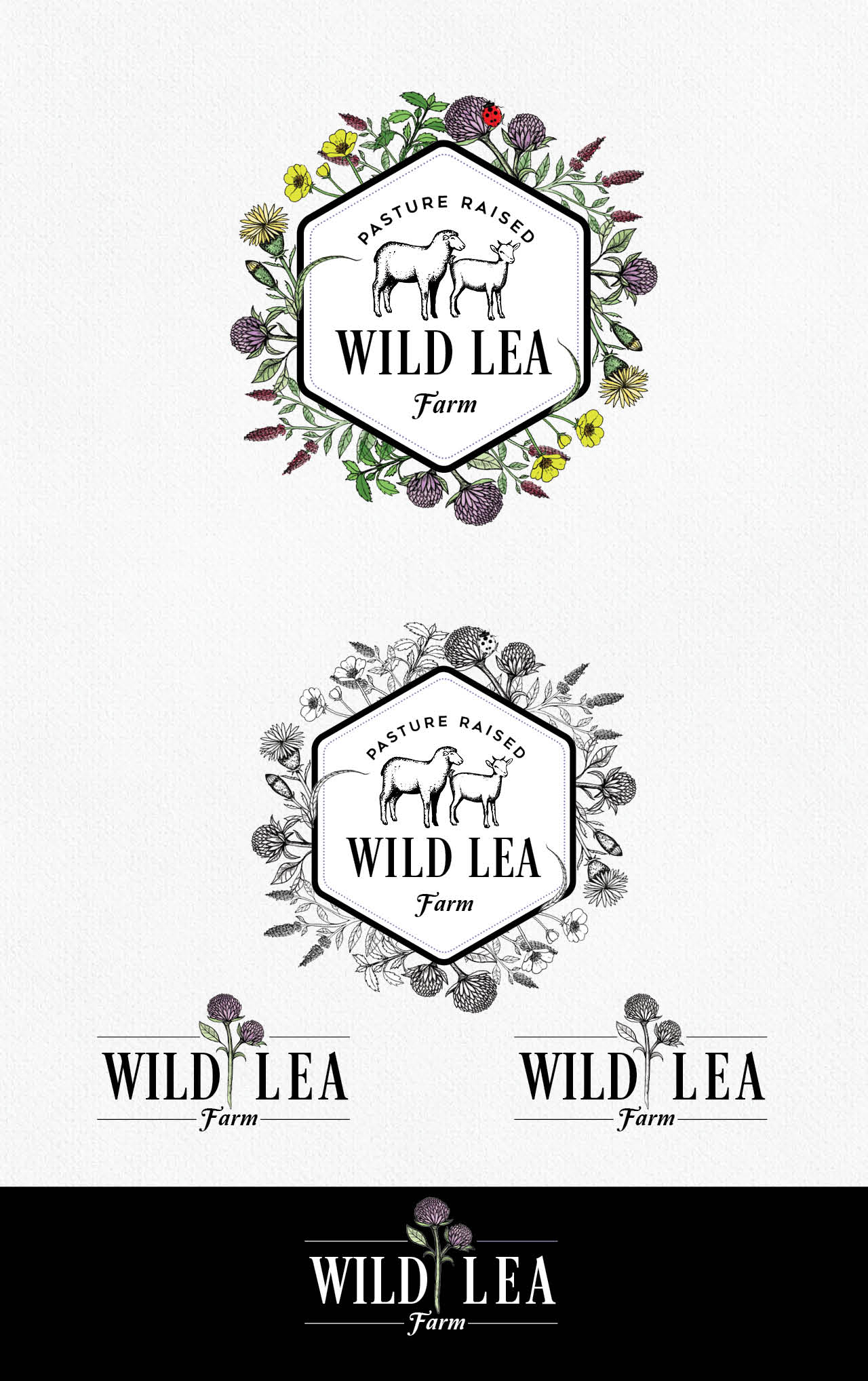 Design a vintage botanical illustrated logo for a pasture based farm by Pakaloloe Design a vintage botanical illustrated logo for a pasture based farm in Logo Design Inspiration by Pakaloloe
