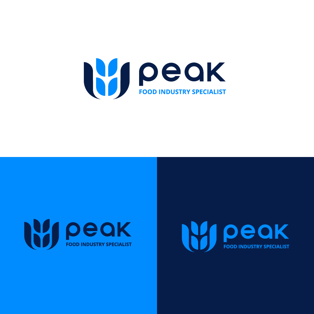 Peak Re-Branding Entire by Designer Allhamdulillah Peak Re-Branding Entire in Logo & Brand Identity Inspiration by Designer Allhamdulillah