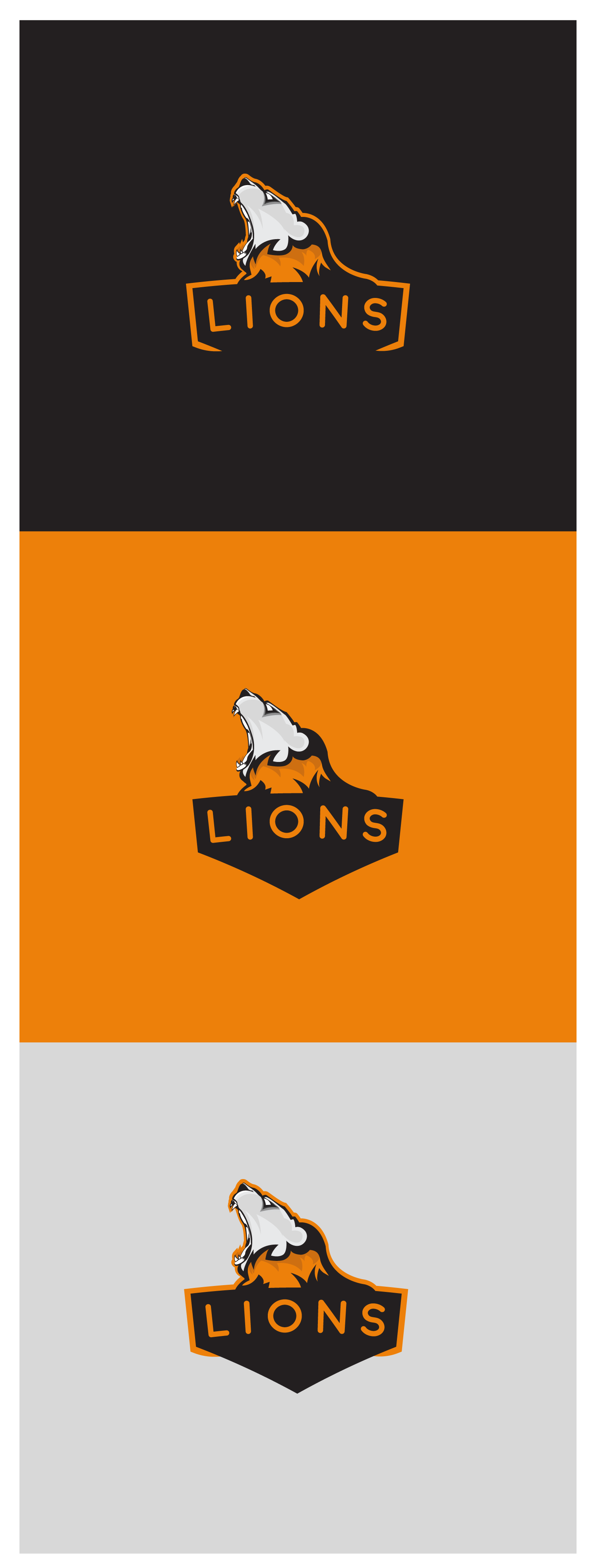 Lions E-sports Logo by Stanke93 Lions E-sports Logo in Logo & Brand Identity Inspiration by Stanke93