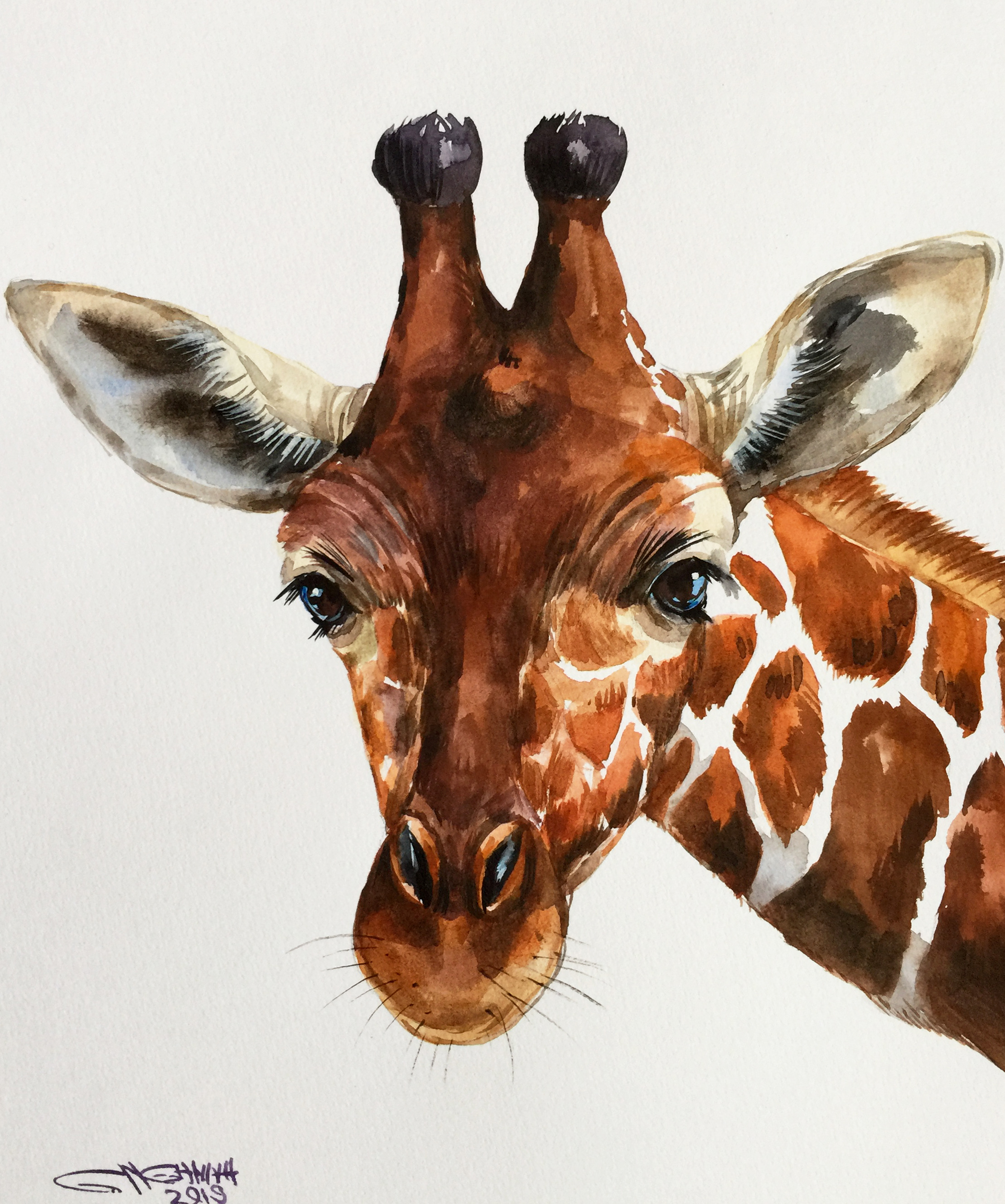 Giraffe portrait.Original watercolor painting by Hanna Melnychenko Giraffe portrait.Original watercolor painting in Personalised cup or mug design Inspiration by Hanna Melnychenko