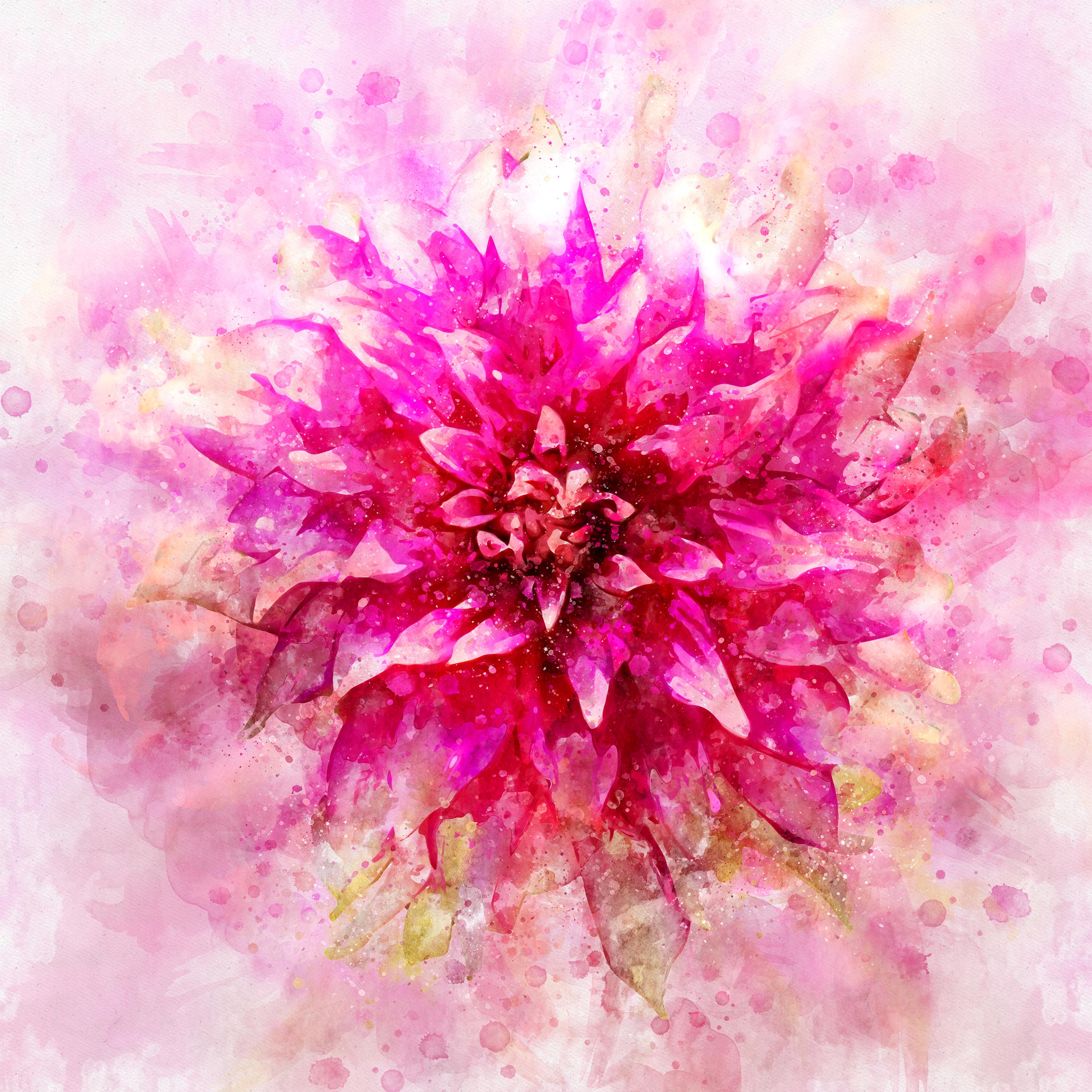 Floral Splash by Kalpesh Ajugia Floral Splash in Photoshop Design Inspiration by Kalpesh Ajugia