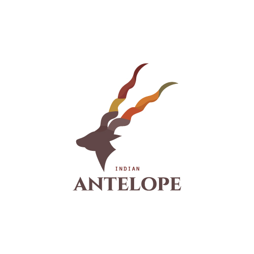Indian Antelope by Dalia Indian Antelope in Logo Design Inspiration by Dalia