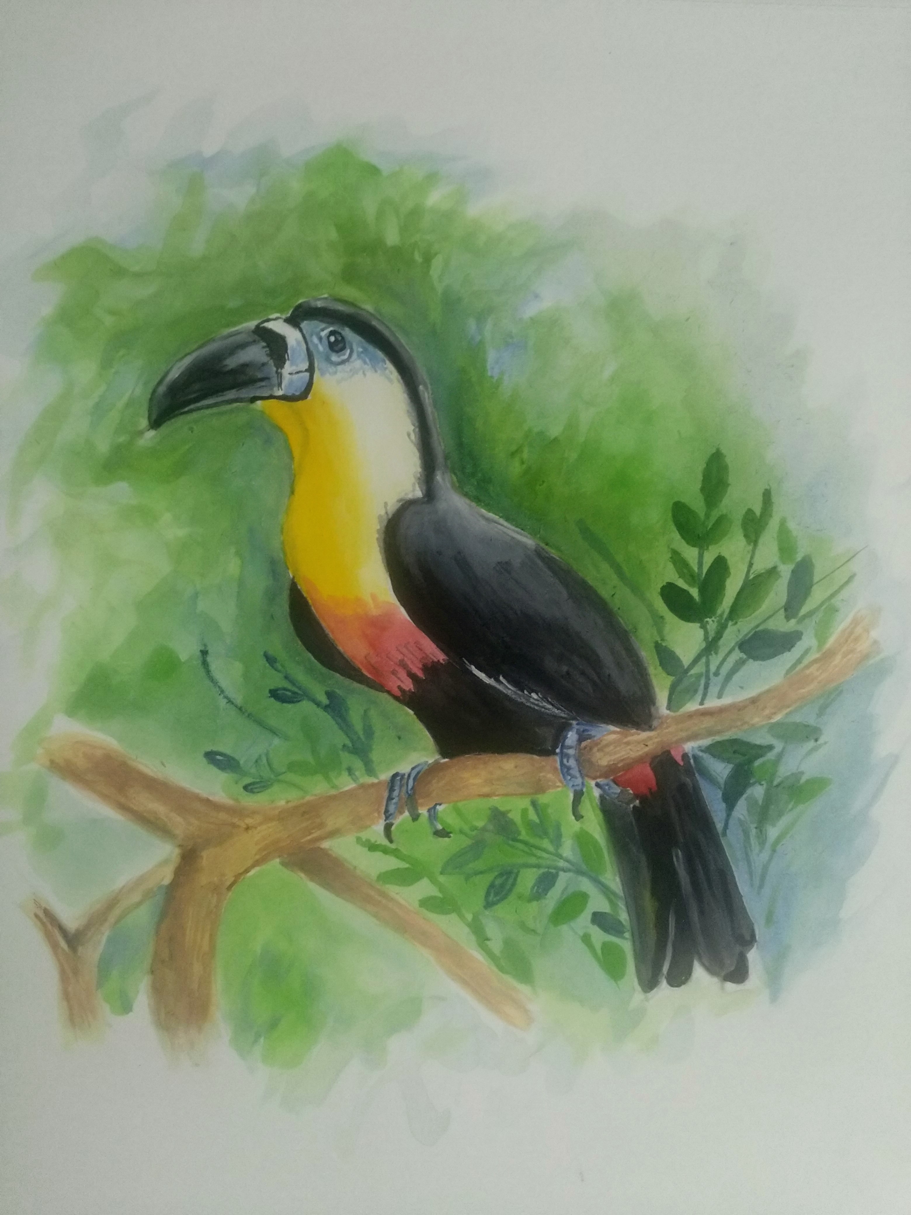 Hornbill in Drawing Inspiration by Vinithra H