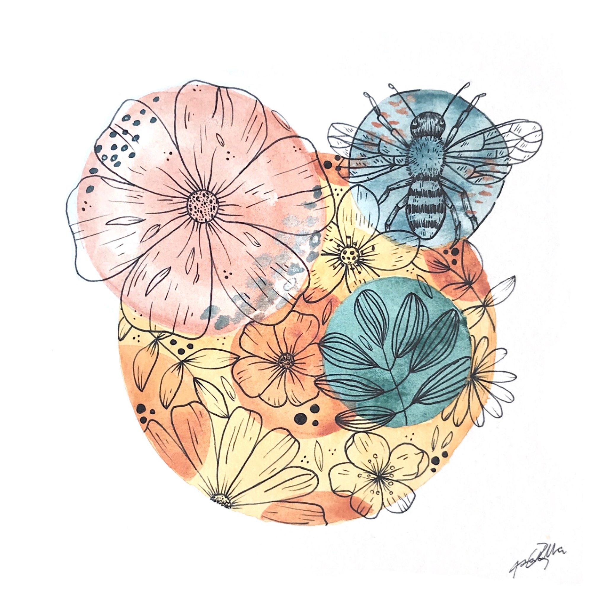 Watercolor botanical illustra in Illustration and Graphics Inspiration by Isabella Cota