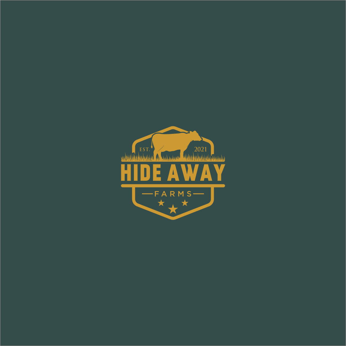 hide away in Logo & Brand Identity Inspiration by Mookgz_art