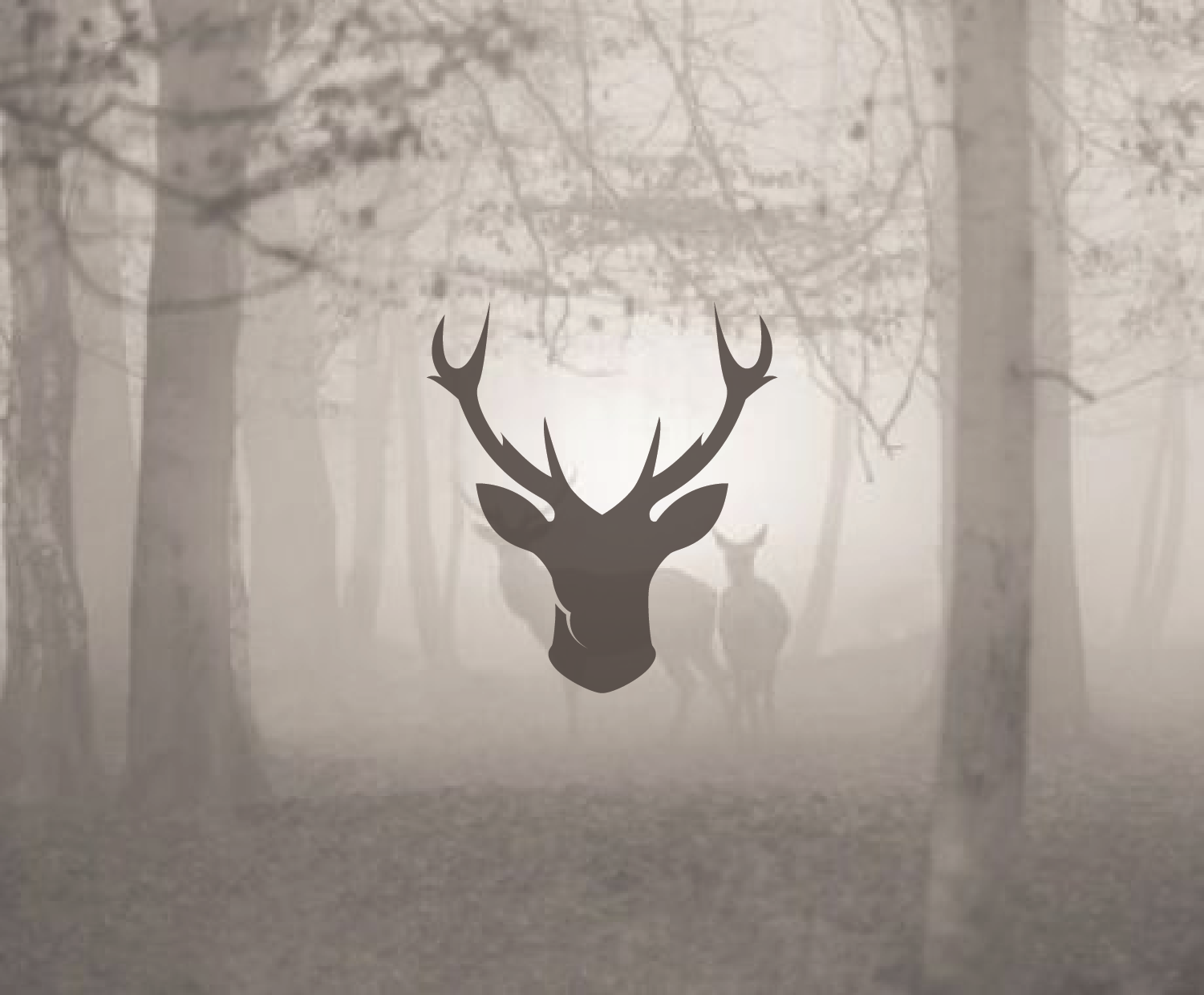Deer logo by Branki.s Deer logo in Advertisement Design Inspiration by Branki.s
