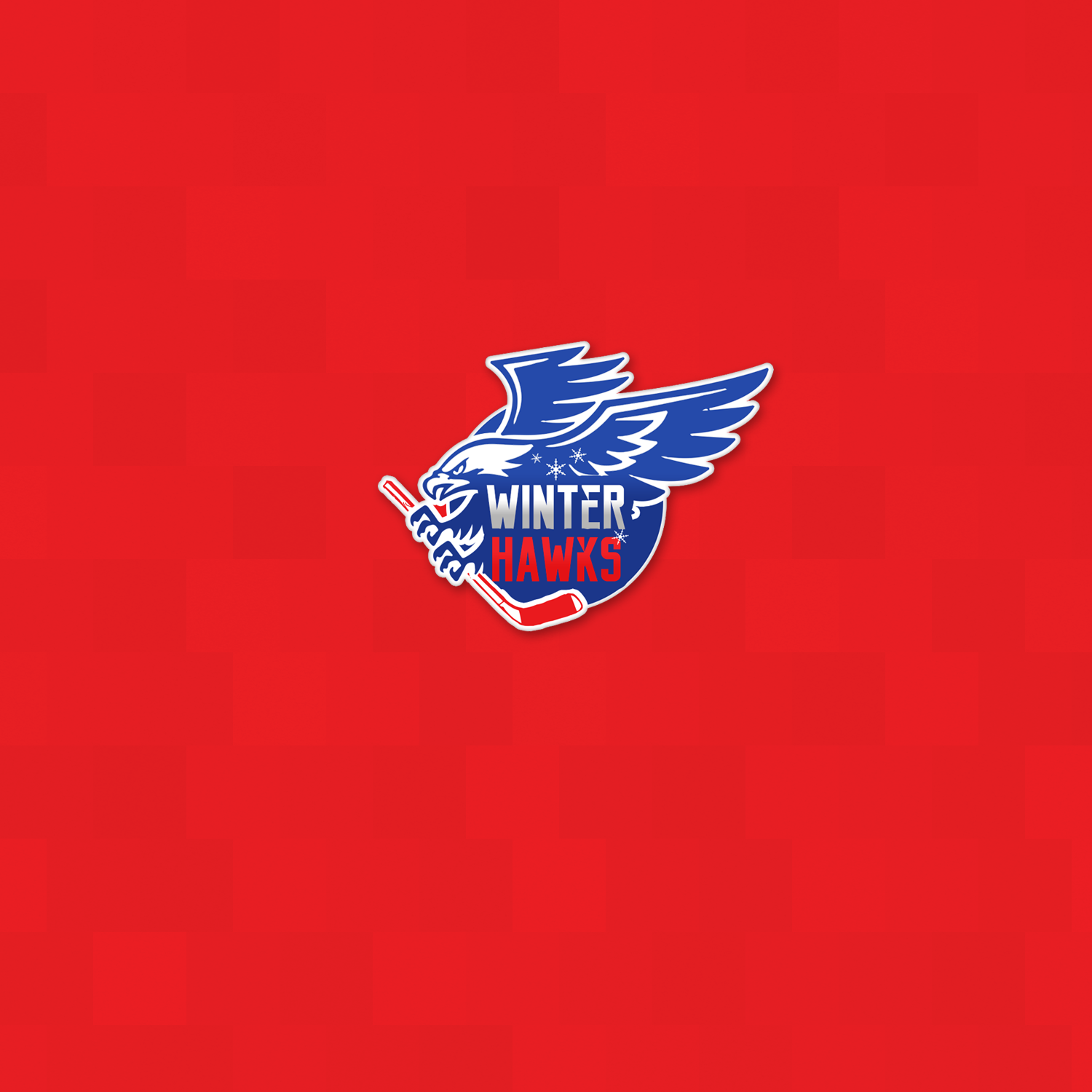 Winter Hawk by Luozuo Winter Hawk in Logo & Brand Identity Inspiration by Luozuo