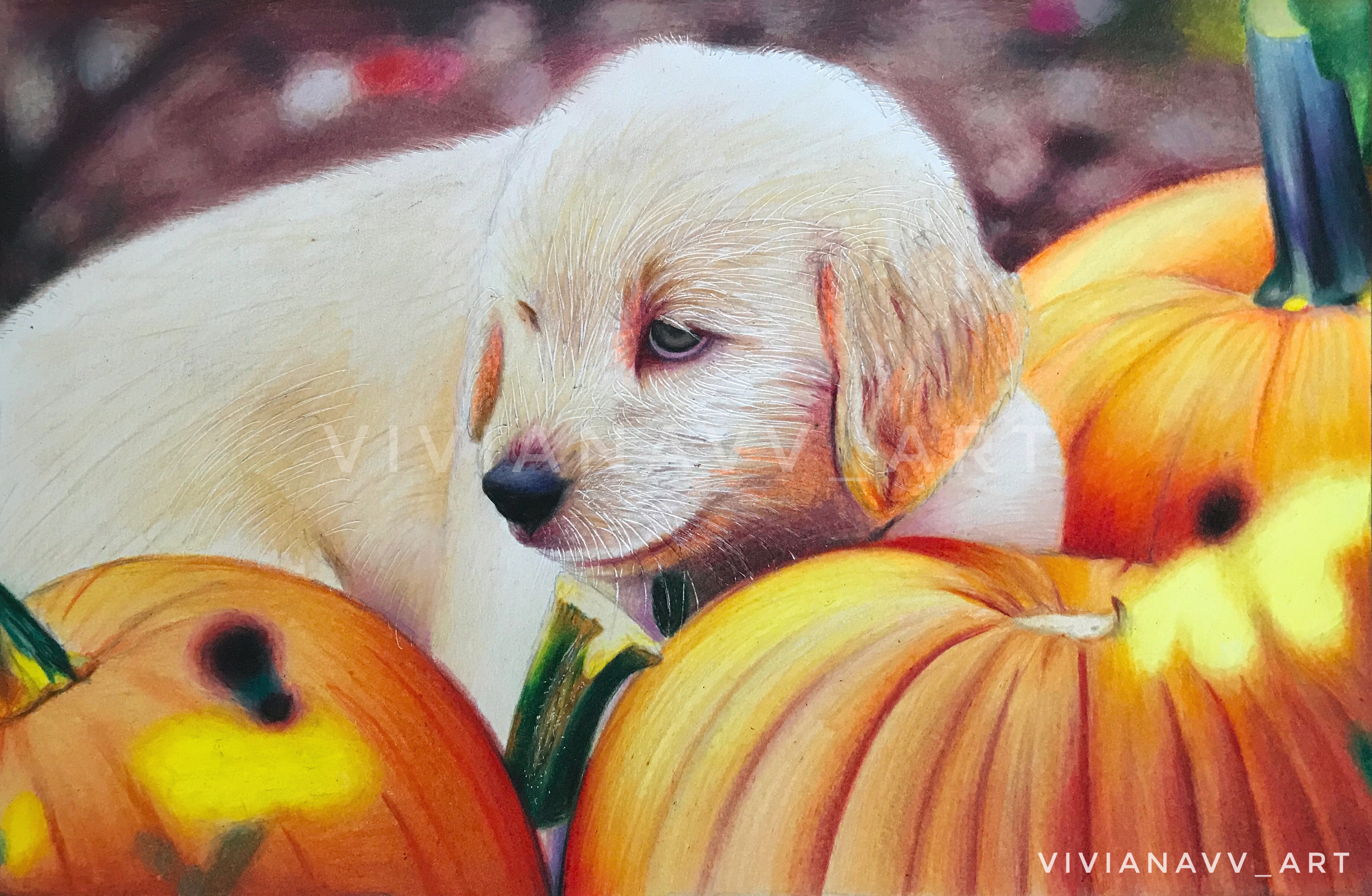 Pupkins in Drawing Inspiration by Viviana Valdez