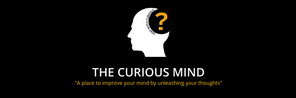 Curious mind in Email Design Inspiration by Mahima Bisht
