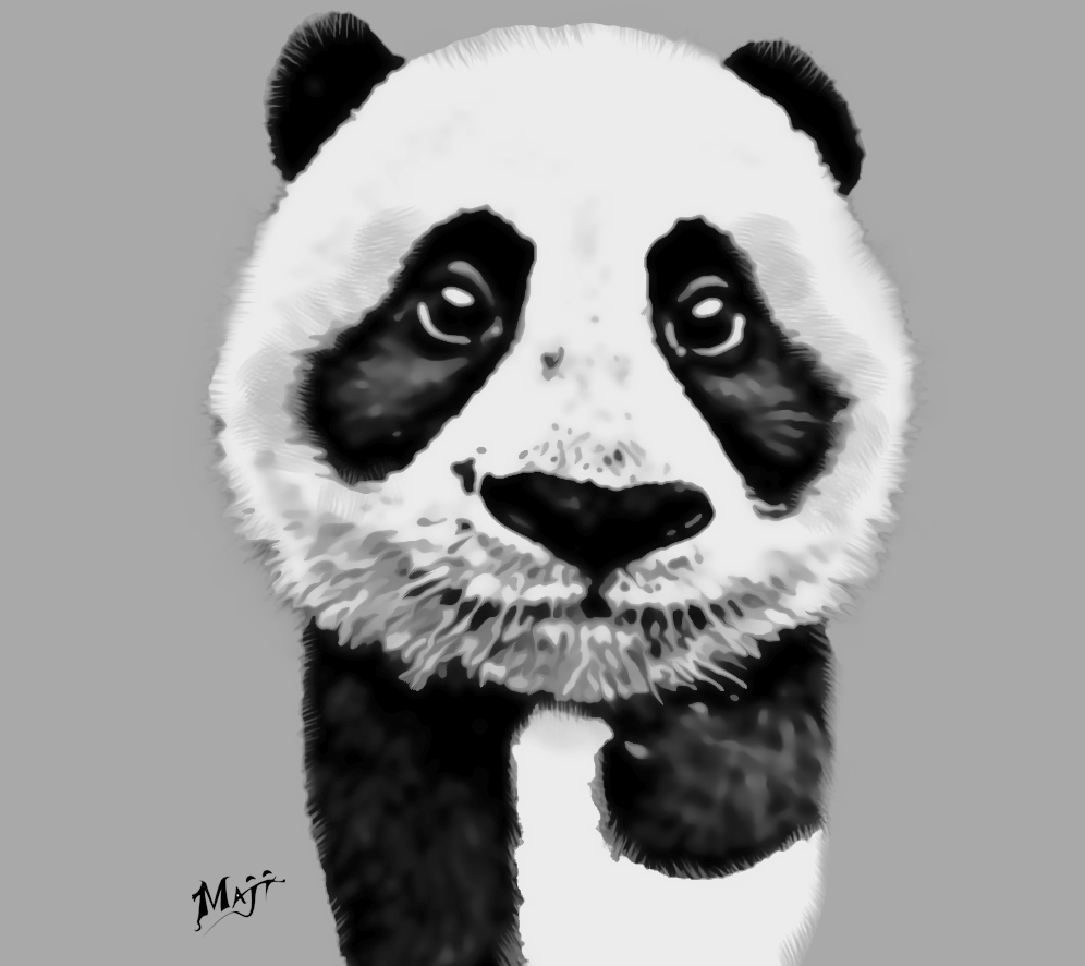Baby panda by Maji Baby panda in Illustration and Graphics Inspiration by Maji