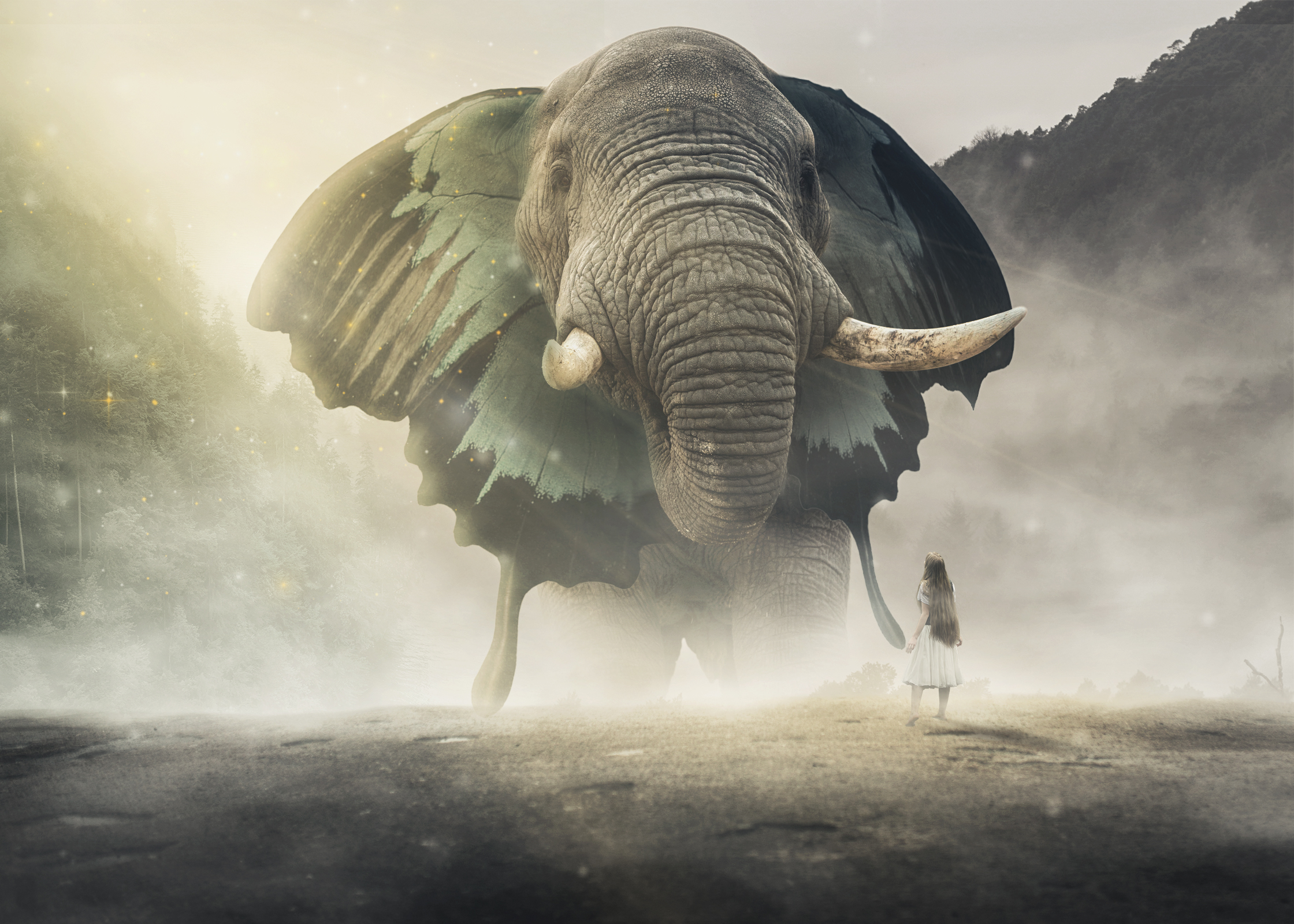 Steady by Hamouda Baccar Steady in Digital Art Inspiration by Hamouda Baccar