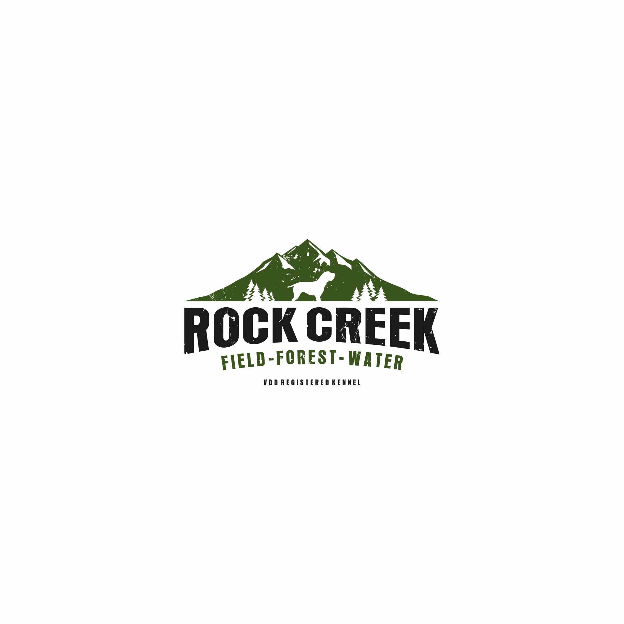 Rock Creek Logo in Logo Design Inspiration by Azmy#creative