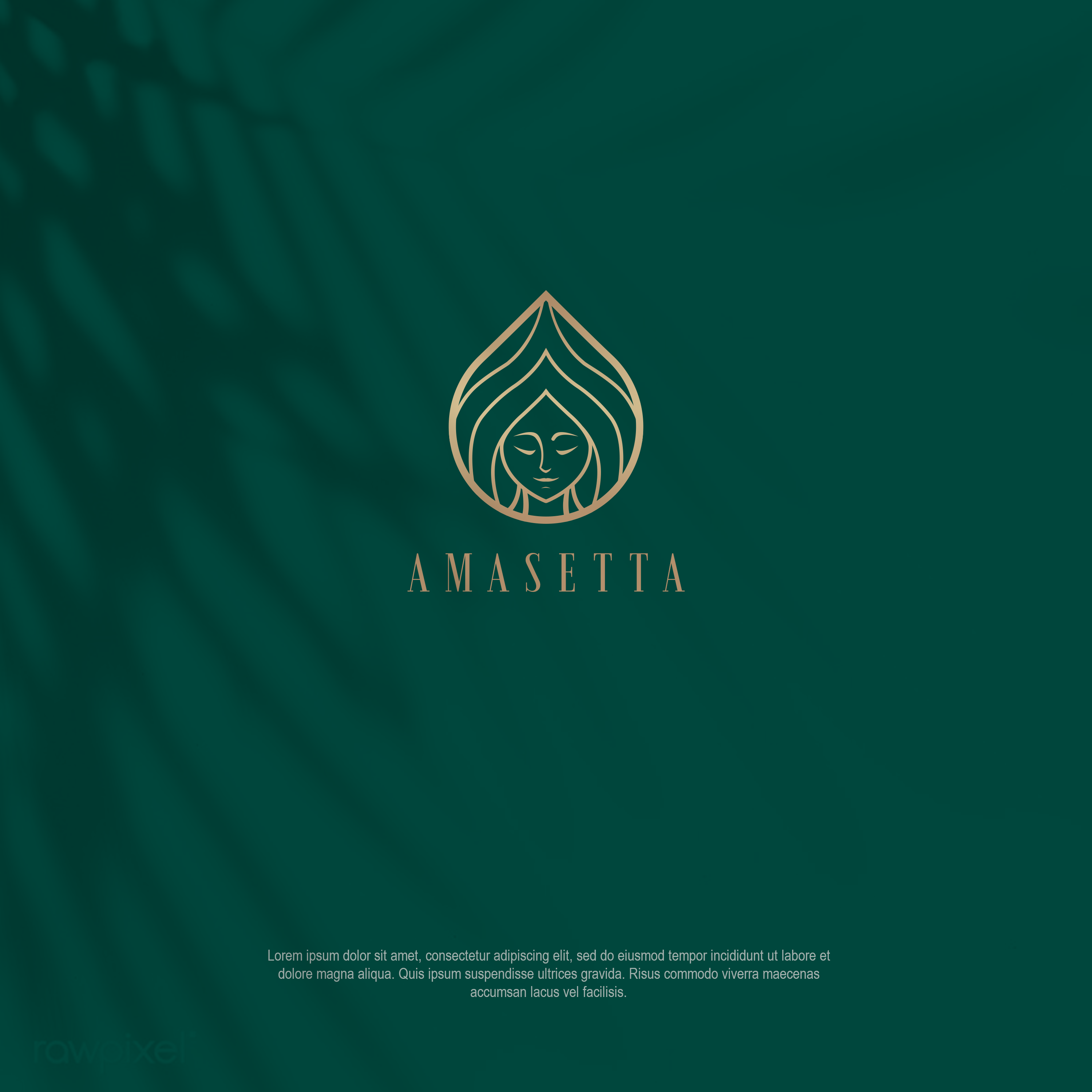 Beauty logo in Logo Design Inspiration by Rv Designs