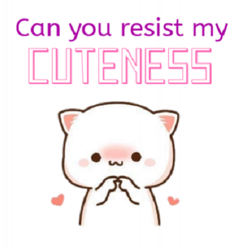 Can you resist my cuteness?