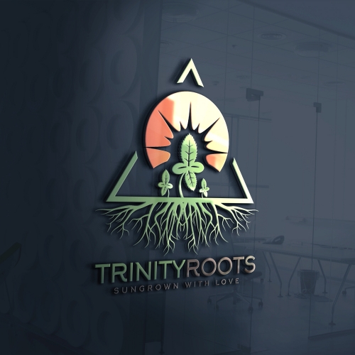 Professional Medicine Logo thumb