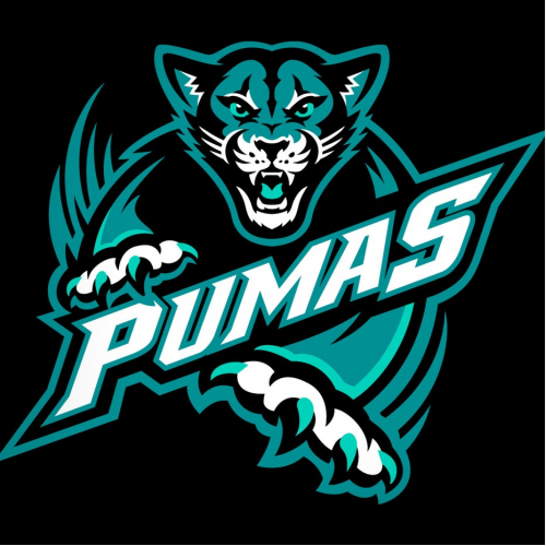 esports logo,sports logo and mascot logo thumb