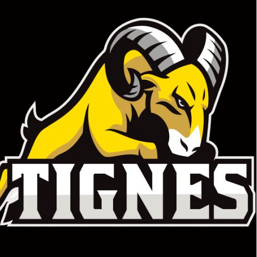 sports,esports and mascot logo