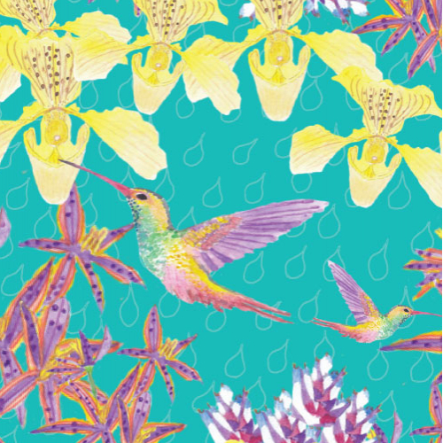 Paradise bird