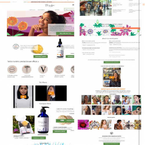 Website design