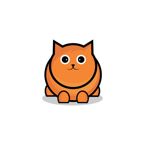 chubby fat cat