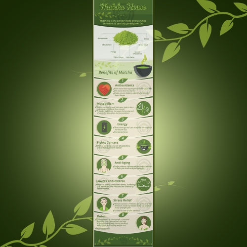 Infographic Matcha House thumb