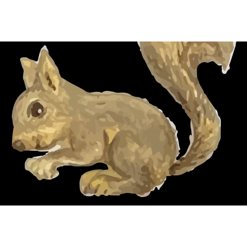 Squirrel