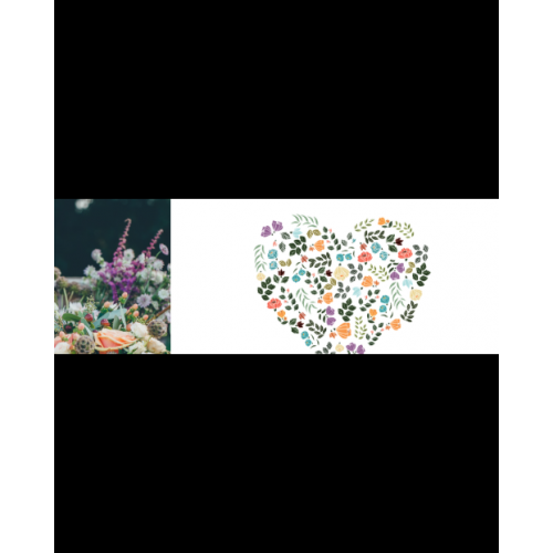LOVE BLOSSOM