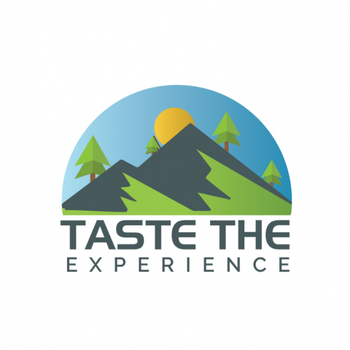 Travel Logo