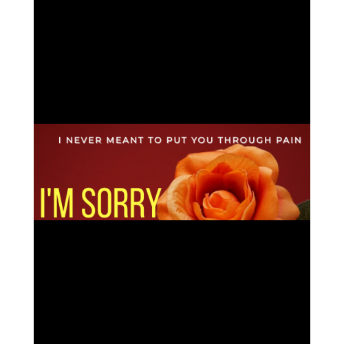 Apology Card