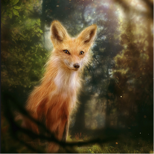 Illustration thumb