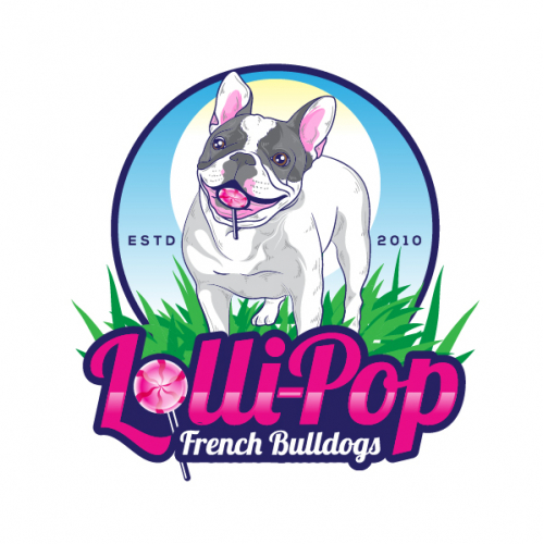 Lolli-Pop French Bulldogs thumb