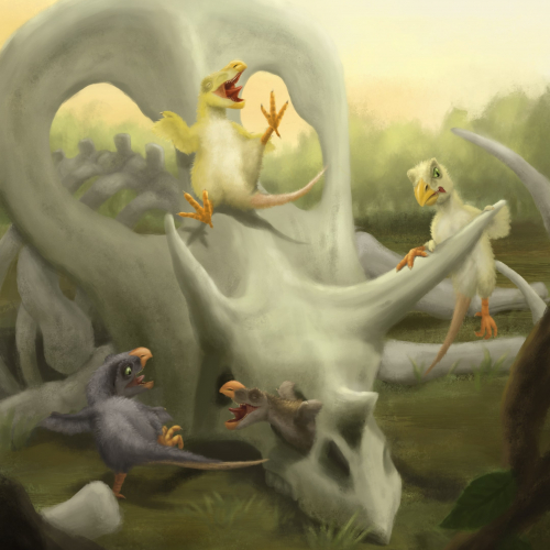 Chickenosaurus\' Playground