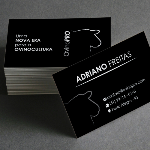 Logo and Business Card - OvinoPro