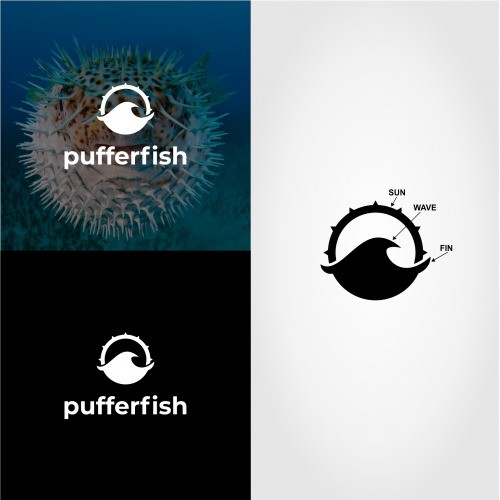 puffer fish