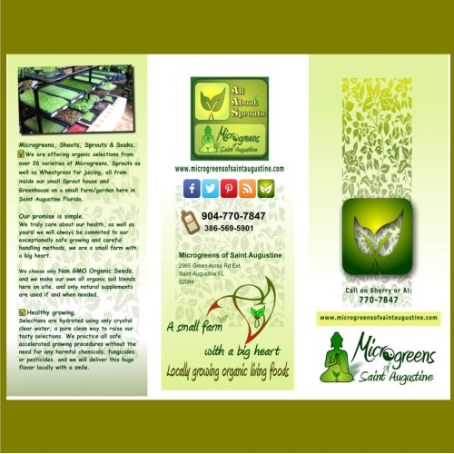 Micro green Flyer