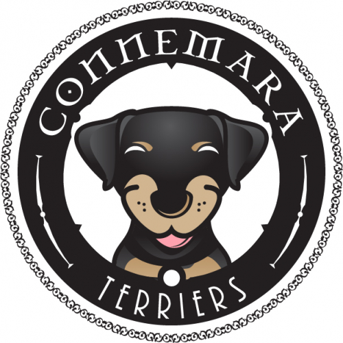 Coinmera
