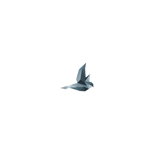 fly bird