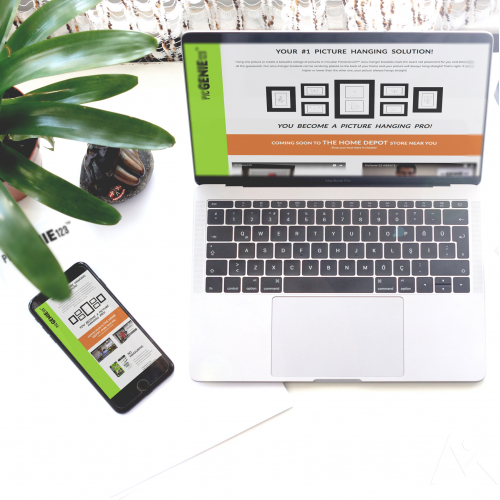 PicGenie123 Website Design